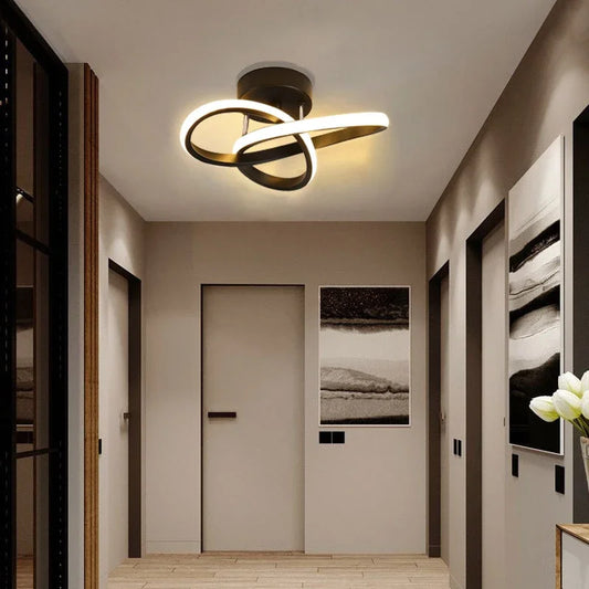 Modern LED Ceiling Light