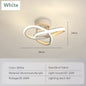 Modern LED Ceiling Light